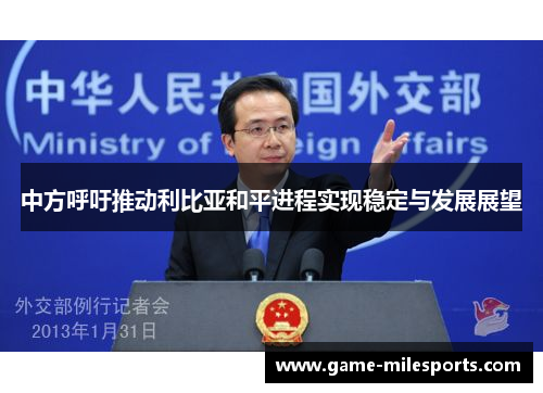 中方呼吁推动利比亚和平进程实现稳定与发展展望