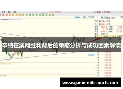 辛纳在澳网胜利背后的策略分析与成功因素解读